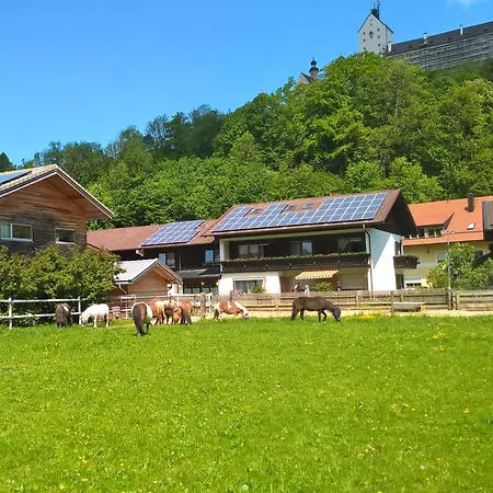 Gaestehaus Kiesmueller Guest house *