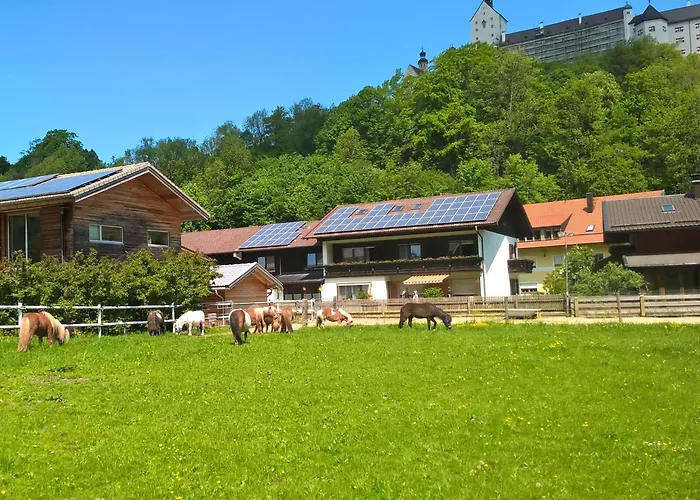Gaestehaus Kiesmueller بيت ضيافة 3*